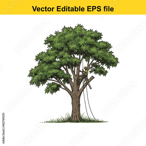 Vector art of arborist trimming tree branches isolated on white background
