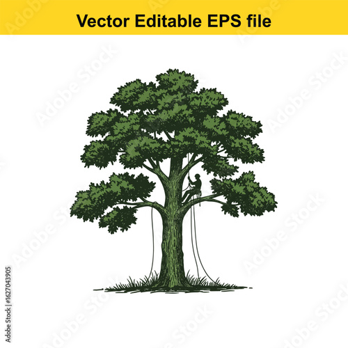 Vector art of arborist working in tree with chainsaw isolated on white background