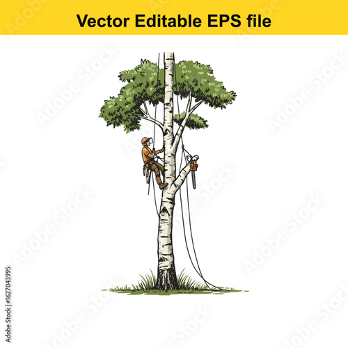 Vector art of arborist climbing tree with chainsaw isolated on white background 