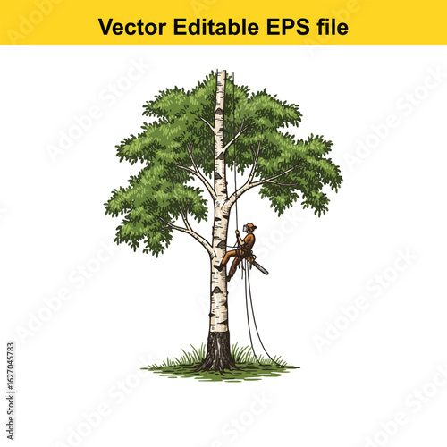 Vector art of arborist climbing a tree with a chainsaw, isolated on white background 