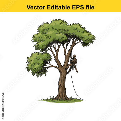 Vector art of arborist climbing a tall tree with rope and harness isolated on white background 