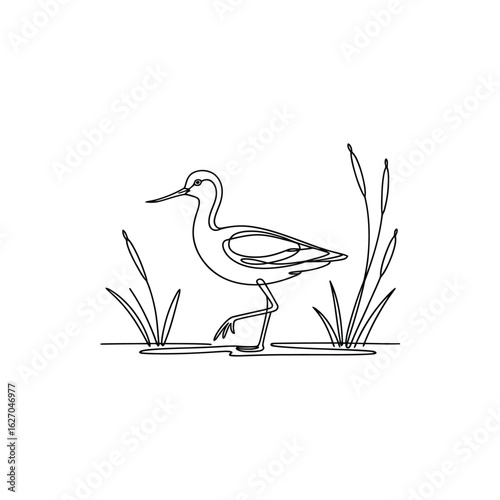 Elegant Line Art of a Bird Walking in Water with Plants Around it on White
