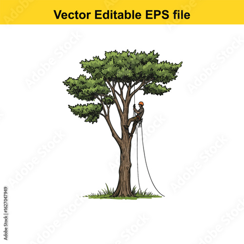 Vector art of man climbing a large tree using rope and harness, isolated on white background long horn, , long horn
