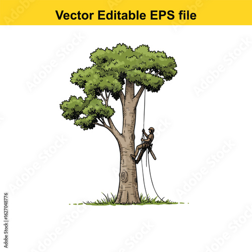 Vector art of arborist climbing a tree with ropes and safety gear, isolated on white background long horn, , long horn