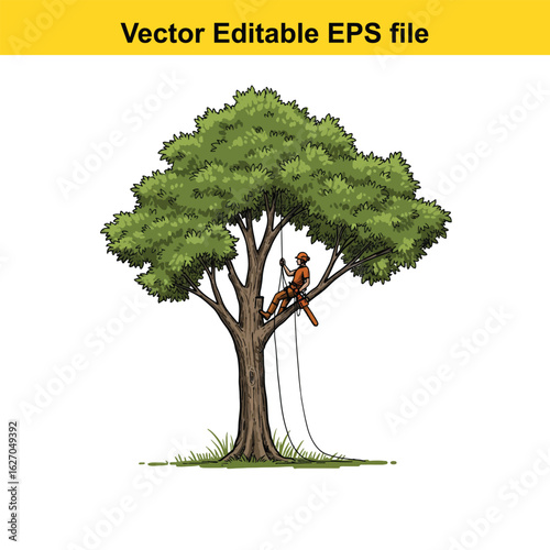 Vector art of arborist climbing a tree for pruning, isolated on white background long horn, , long horn