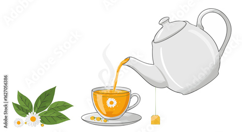 Pouring hot chamomile tea from a white ceramic teapot into a glass cup with fresh flowers and leaves illustration.