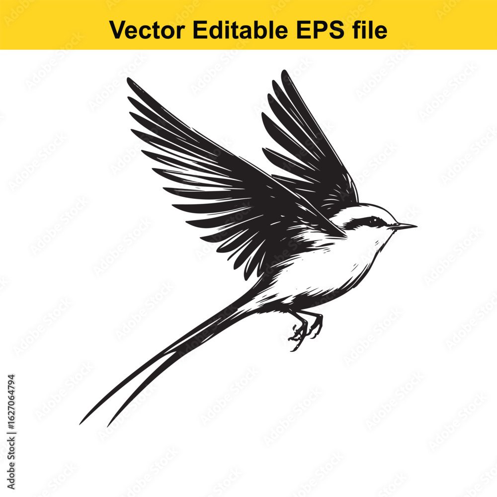 Obraz premium Vector art of flying bird with long tail isolated on white background long horn, , long horn