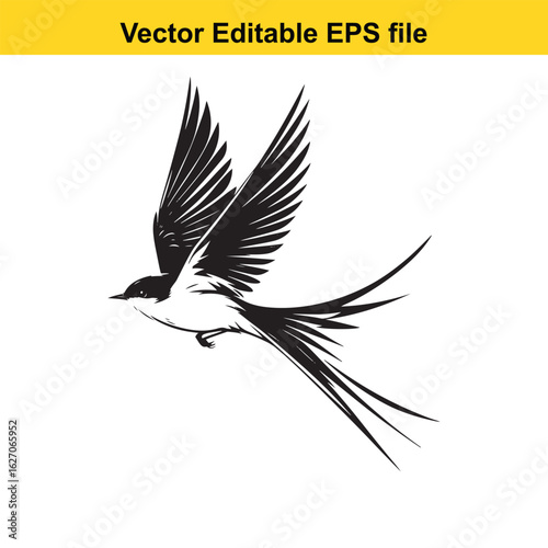 Vector art of swallow in flight with long tail, isolated on white background long horn, , long horn