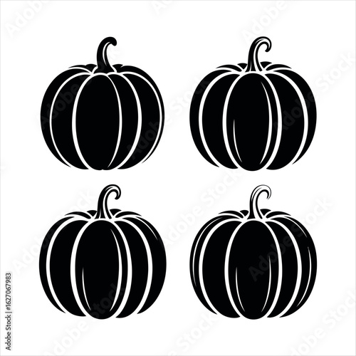 Black pumpkins with curved stems gourds harvest