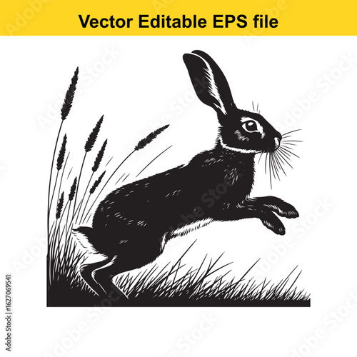 Vector art of black hare running through grass isolated on white background long horn, , long horn
