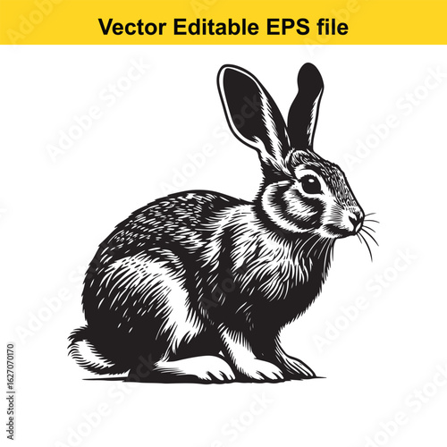 Vector art of black and white rabbit illustration isolated on white background long horn, , long horn