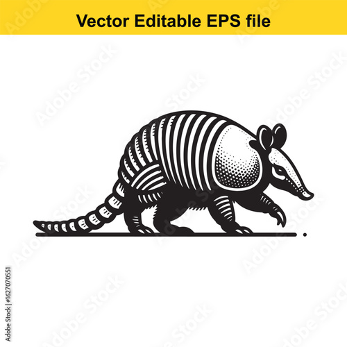Vector art of armadillo illustration isolated on white background long horn, , long horn