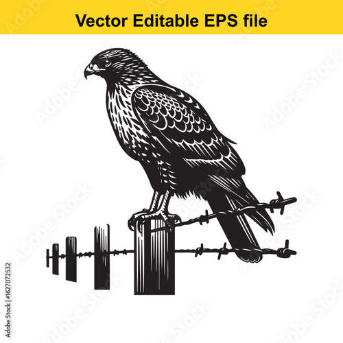 Vector art of hawk perched on a wooden post with barbed wire isolated on white background long horn, , long horn
