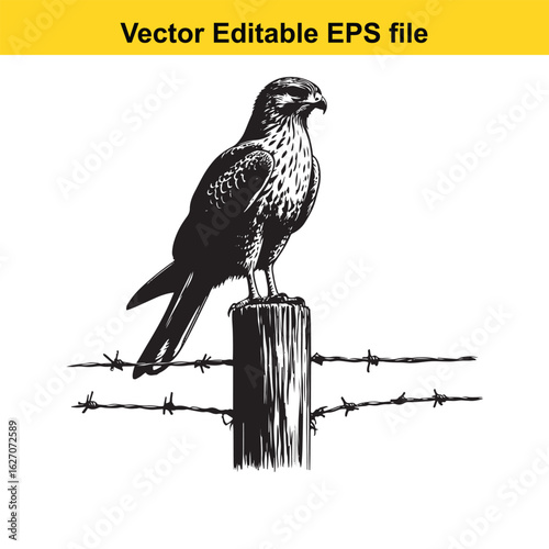 Vector art of hawk perched on a wooden post with barbed wire, isolated on white background long horn, , long horn
