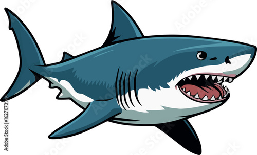 Clean and modern vector  great white shark vector illustration predatory sea animal ocean wildlife danger