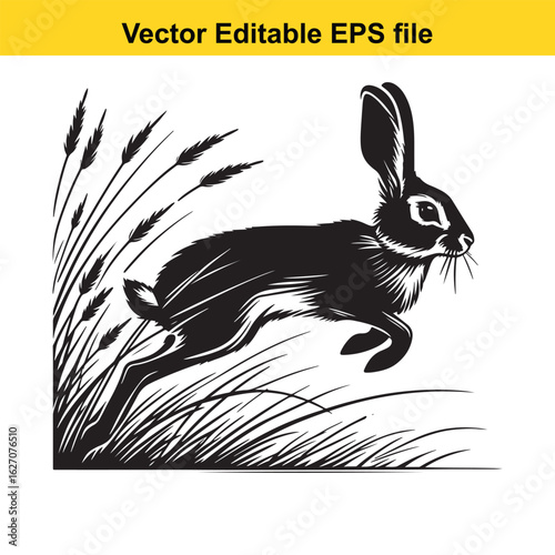 Vector art of running hare in grass isolated on white background long horn, , long horn