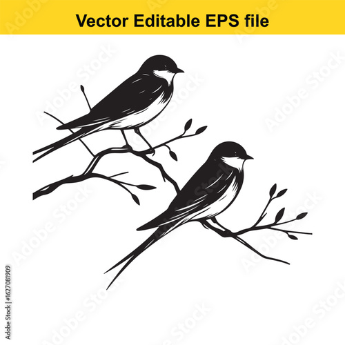 Vector art of two swallows perched on a branch isolated on white background long horn, , long horn