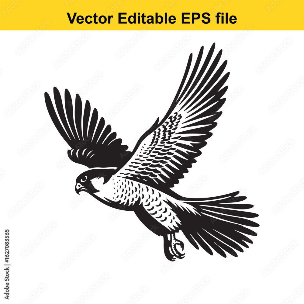 Obraz premium Vector art of black and white illustration of a falcon in flight, isolated on white background long horn, , long horn