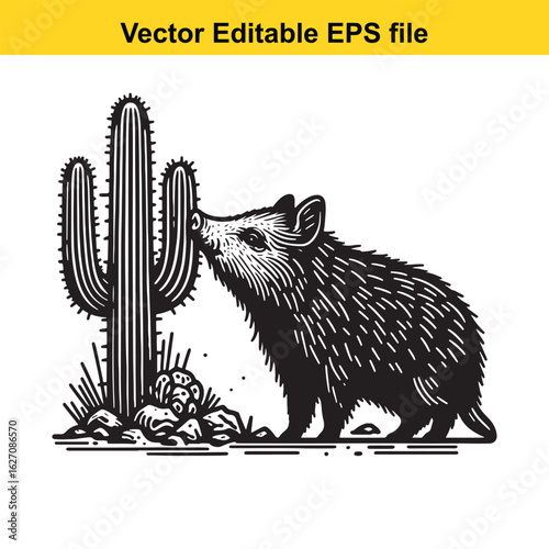Vector art of wild animal sniffing a cactus in the desert, isolated on white background long horn, , long horn