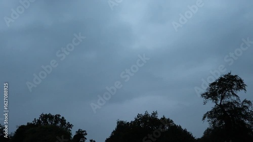 Time-Lapse of Dark Clouds Over Trees