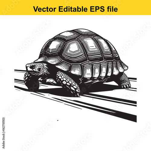 Vector art of detailed illustration of a tortoise walking on a striped surface long horn, , long horn