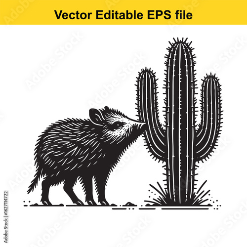 Vector art of peccary sniffing a saguaro cactus isolated on white background long horn, , long horn