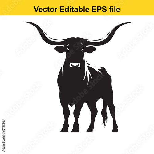 Vector art of longhorn bull isolated on white background long horn, , long horn