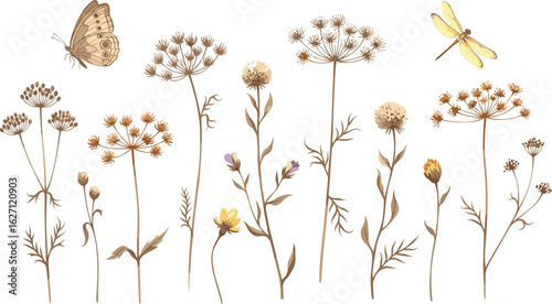 Botanical seamless horizontal border with dry plants, blue dry flowers and buds, flying butterfly and dragonfly.