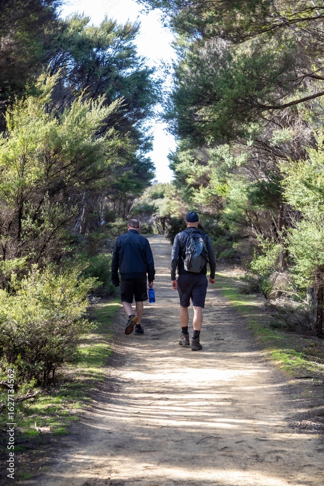 Obraz premium Two men hike a dirt trail through a forest of Manuka trees in Tawharanui Regional Park, New Zealand. They are walking away from the camera, enjoying the outdoors and getting exercise.