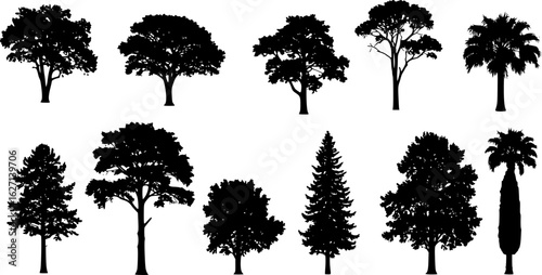 Tree silhouette vector. Isolated forest trees on white background