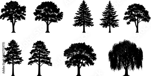 Tree silhouette vector. Isolated forest trees on white background