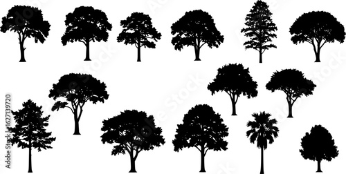 Tree silhouette vector. Isolated forest trees on white background
