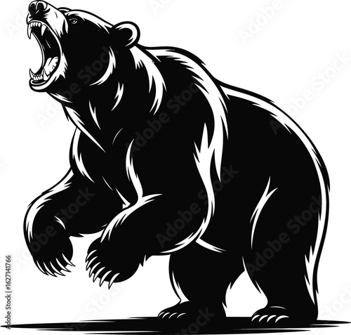 Black bear roaring standing on hind legs animal