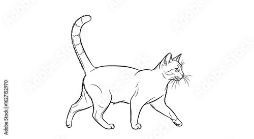 A simple, elegant line drawing of a walking domestic cat, with raised tail.