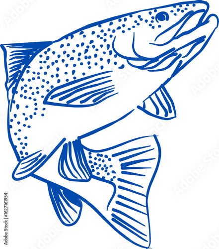 Salmon fish hand drawing icon. salmon trout fish vector art. Jumping trout