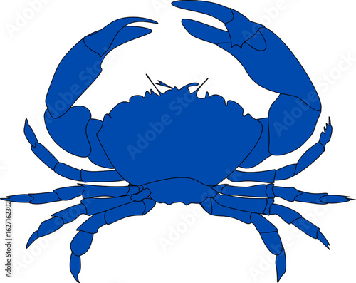 Solid blue crab on white background. Sea crab silhouette vector. Seafood. Design element for logo, label, emblem, sign, poster.