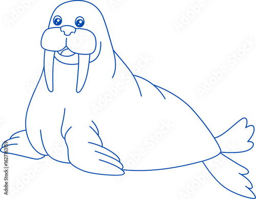 Walrus line art vector. Vector illustration of icy walrus isolated on white background. For kids coloring book. Elegant walrus portrait created with continuous line drawing