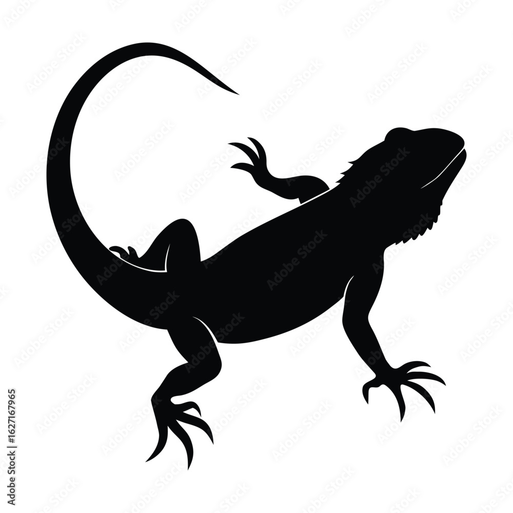 Naklejka premium Black silhouette of a bearded dragon lizard on a white background reptile animal