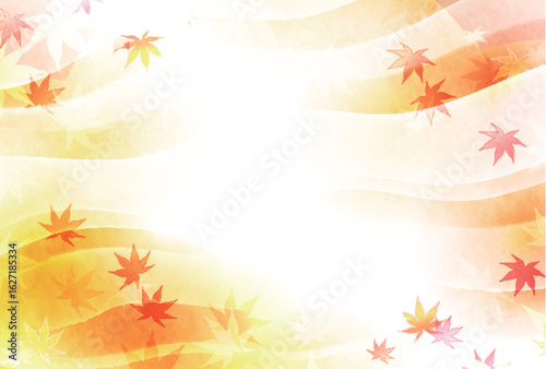 紅葉　もみじ　秋　背景	