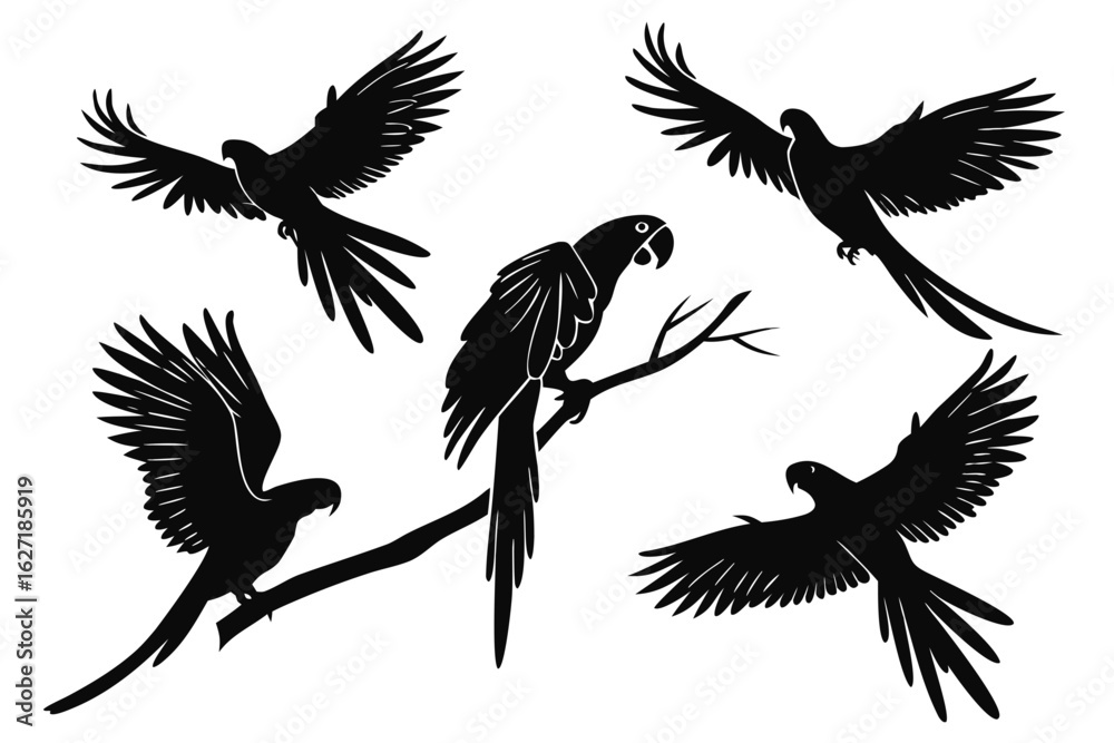 Obraz premium A versatile set of macaw parrot silhouettes in various poses, with birds in flight and one perched on a branch. Vector graphic illustration of tropical wildlife.