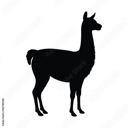 Black silhouette of a llama standing on a white background animal