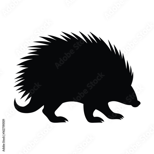 Black silhouette of a porcupine walking on a white background animal wildlife
