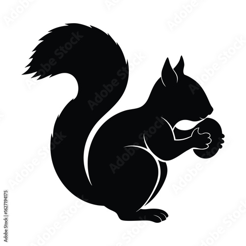 Black silhouette of a squirrel holding a nut on a white background vector