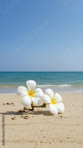 Tropical Seascape With Plumeria Flowers on Sand at Beach