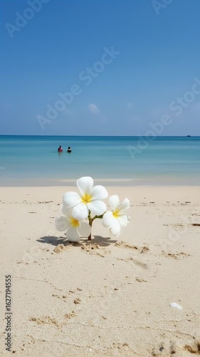 Tropical Beach with Plumeria Flowers on Sandy Shore Summer Vacation