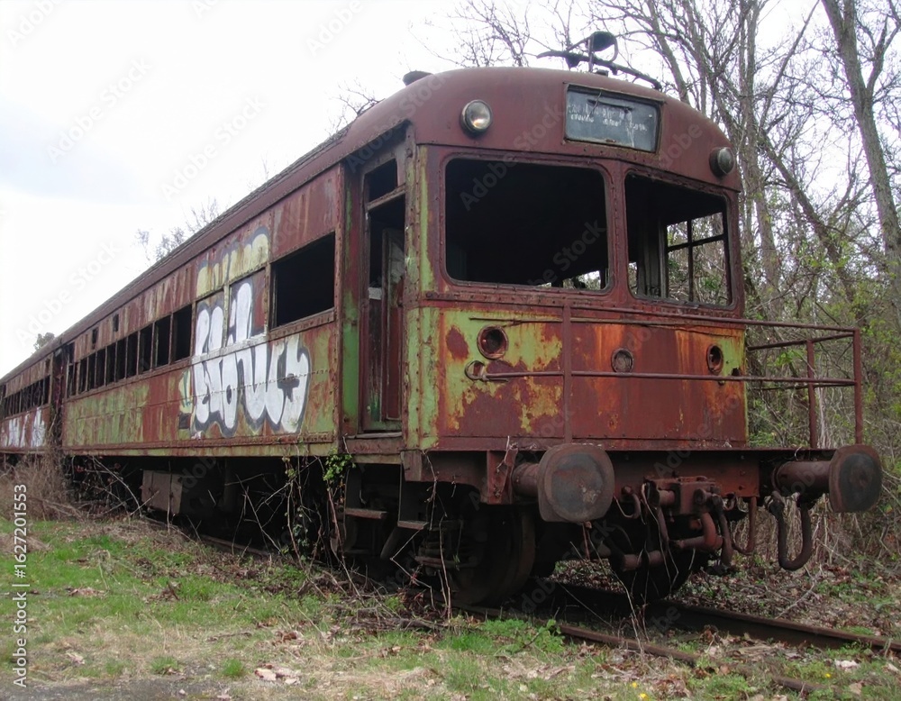 Fototapeta premium Rusted abandoned train with graffiti on overgrown tracks