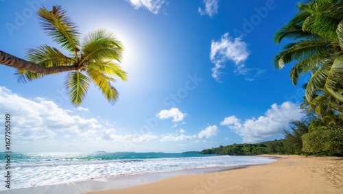 Vibrant tropical beach scene with a leaning palm tree under a bright sunny sky and fluffy white clouds