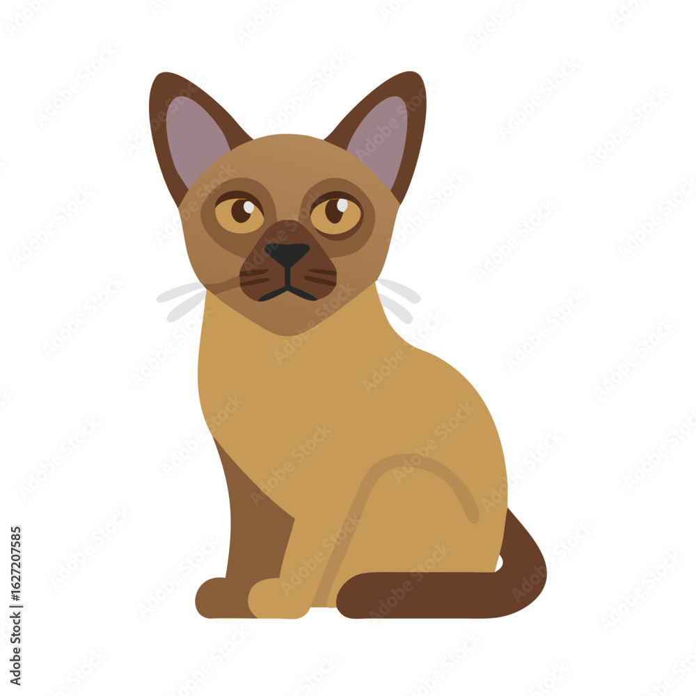 Fototapeta premium Simple cat illustration. Vector. burmese. cat.