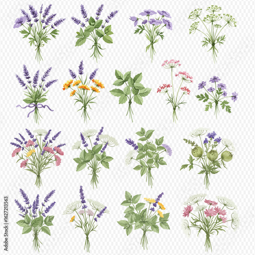 A collection of illustrated bouquets featuring lavender, mint, chamomile, and other medicinal herbs and wildflowers.