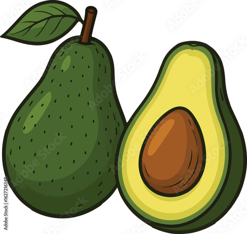 Illustration of an avocado